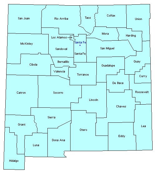 New Mexico County Outline Map.